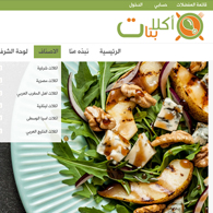 Web Design Company in Jordan